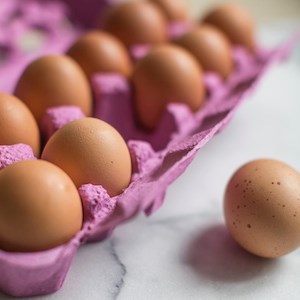 Picture of local GA farms eggs